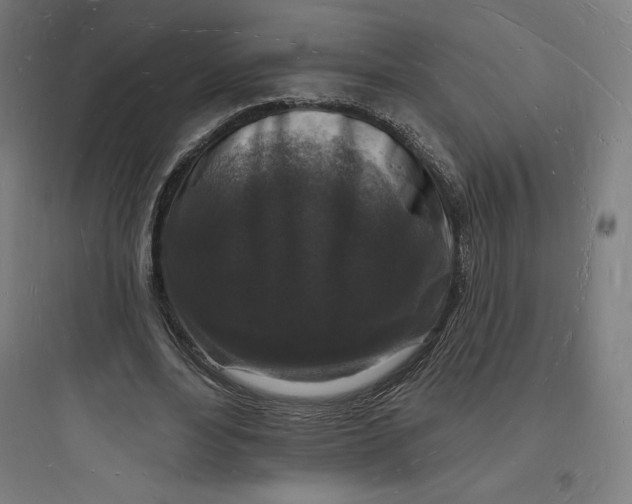 X0000093720488200711060941