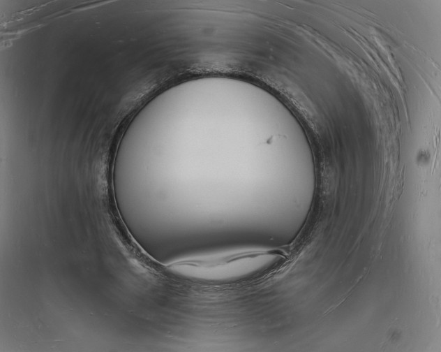 X0000093720489200711060941