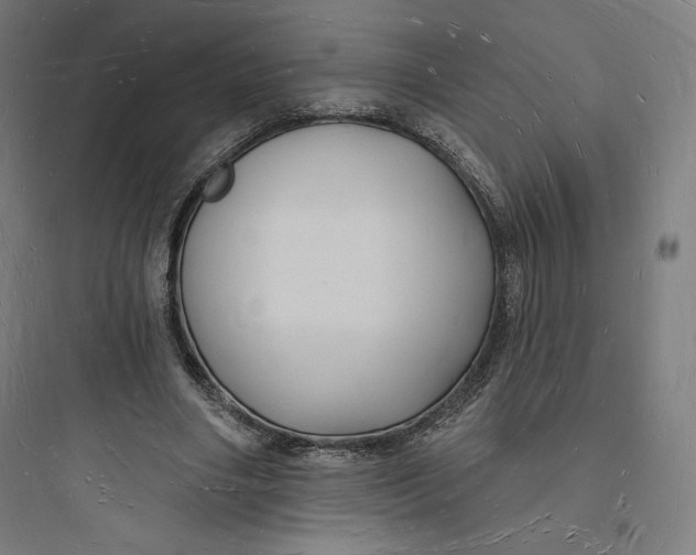 X0000093720490200711060941