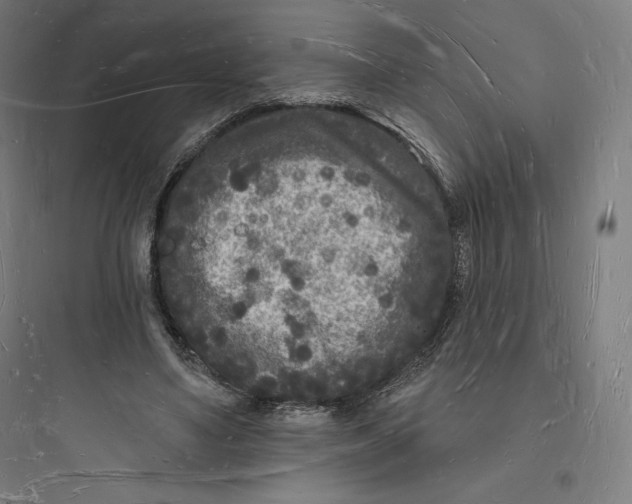 X0000093720491200711060941