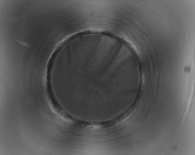 X0000093720492200711060941