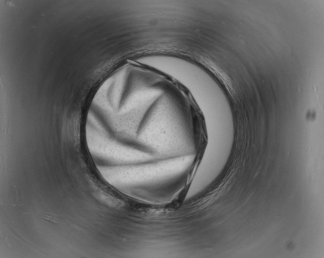 X0000093720493200711060941