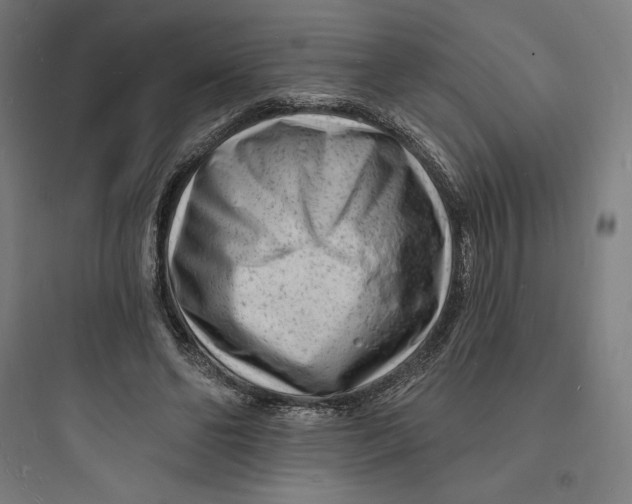 X0000093720494200711060941