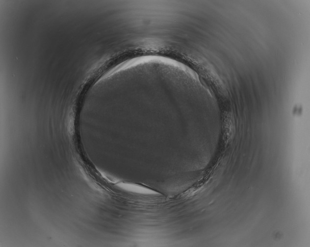 X0000093720496200711060941