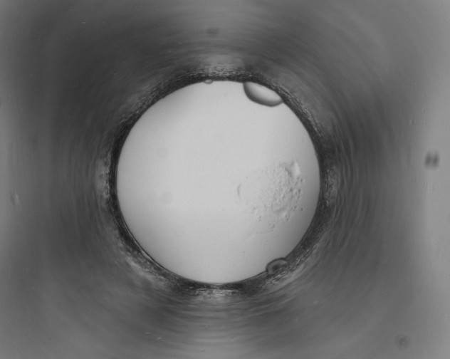 X0000093720497200711060941