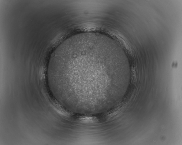 X0000093720499200711060940