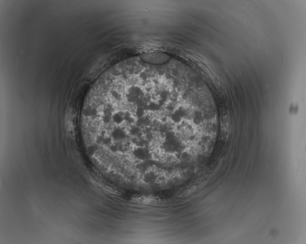 X0000093720503200711060940