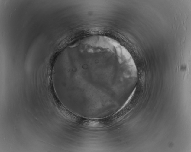 X0000093720507200711060940