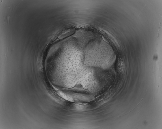 X0000093720508200711060940