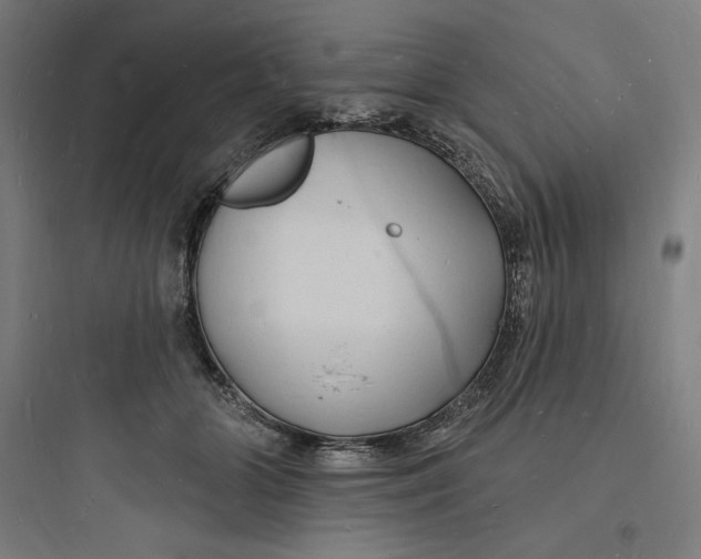 X0000093720510200711060940