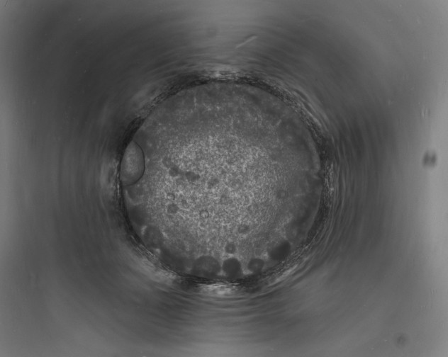 X0000093720511200711060940