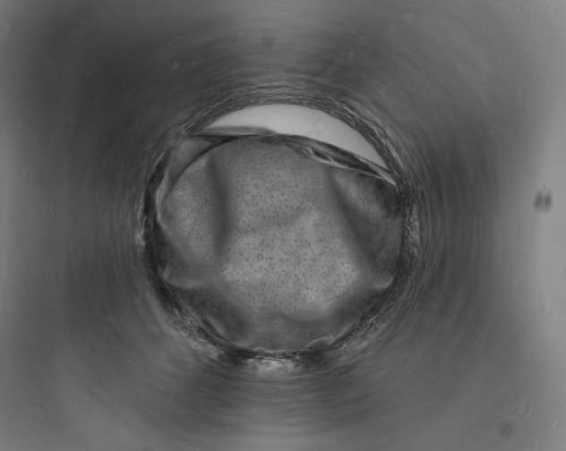 X0000093720512200711060940