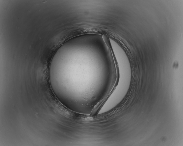 X0000093720513200711060940