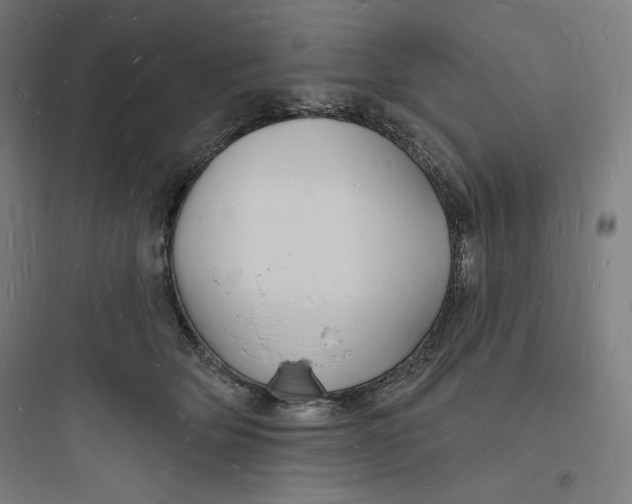 X0000093720514200711060940