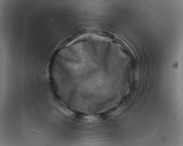 X0000093720516200711060940