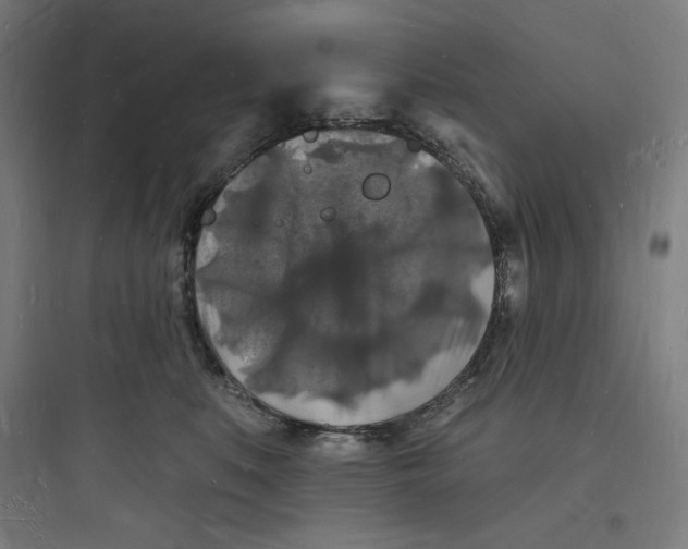 X0000093720519200711060940