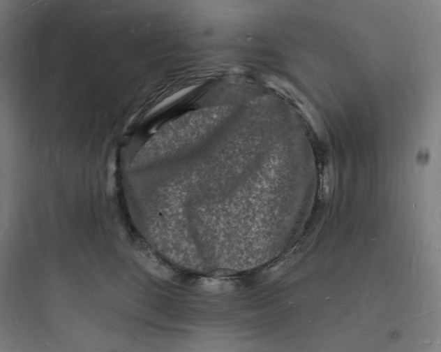 X0000093720520200711060940