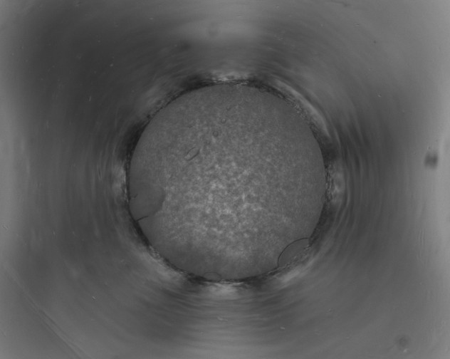 X0000093720523200711060940