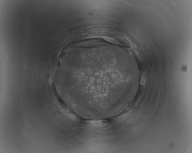 X0000093720524200711060940