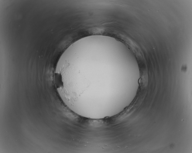 X0000093720525200711060940