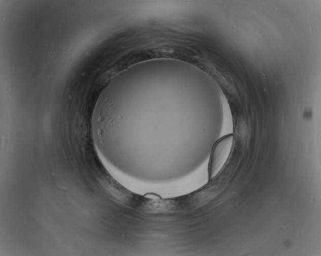 X0000093720526200711060940