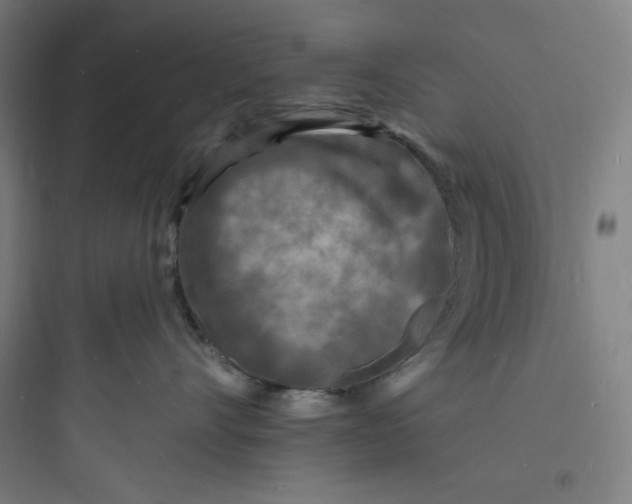 X0000093720528200711060940