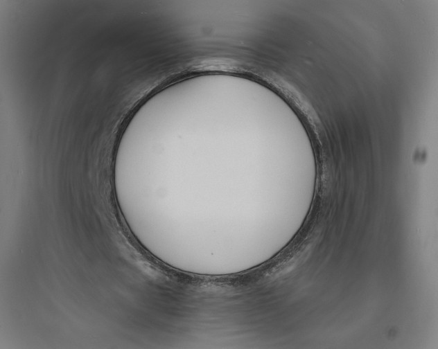 X0000093720529200711060939