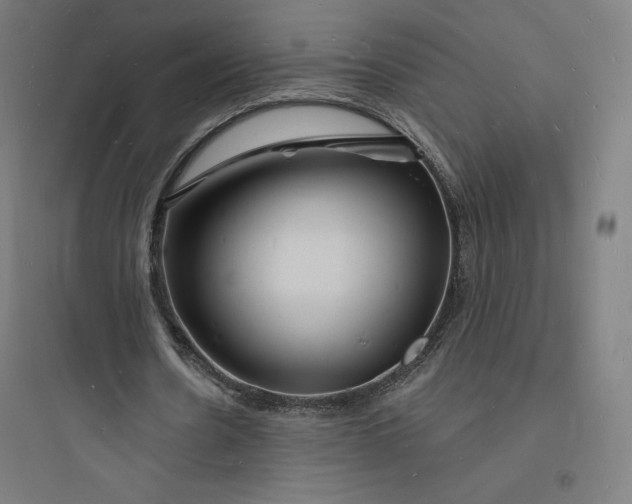 X0000093720530200711060939