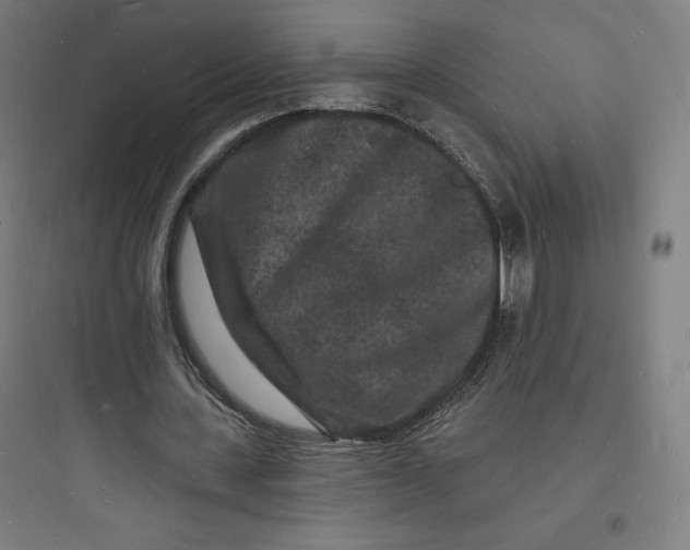 X0000093720531200711060939