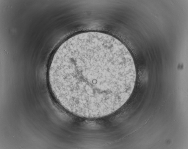 X0000093720534200711060940