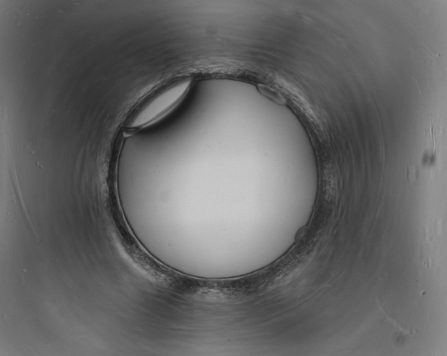 X0000093720538200711060940