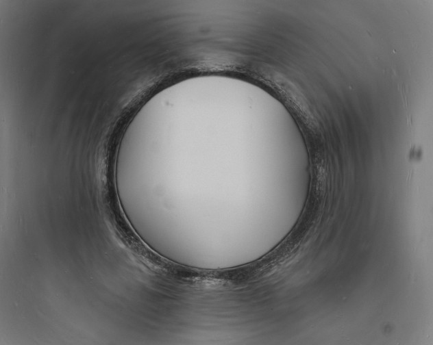 X0000093720539200711060940