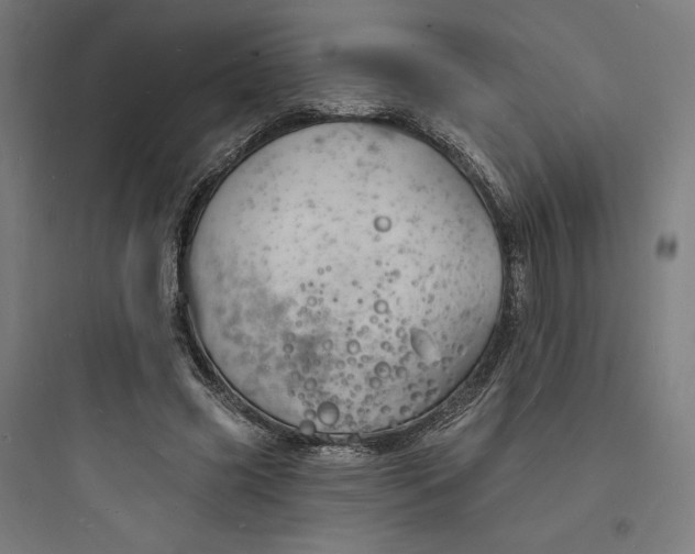 X0000093720541200711060940