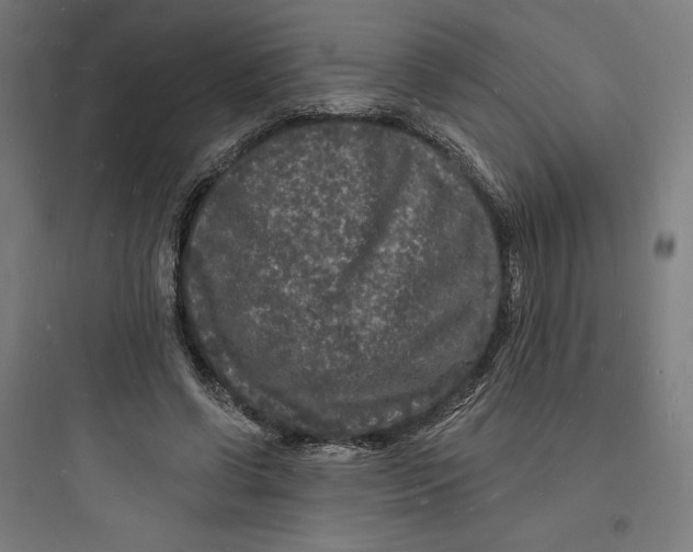 X0000093720542200711060940