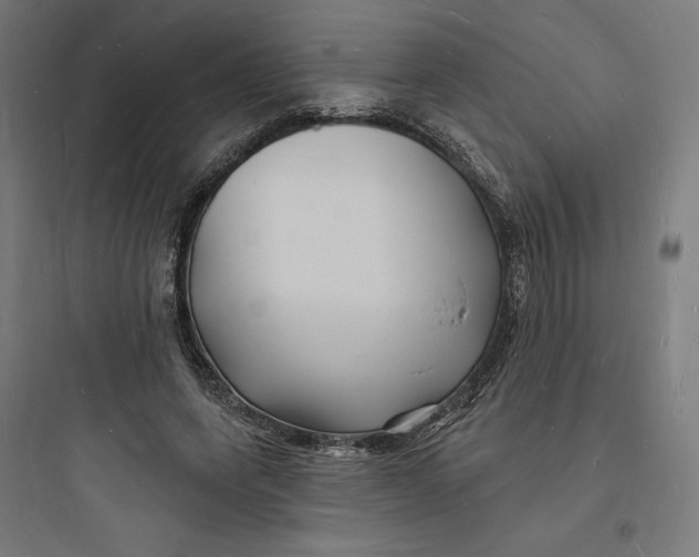 X0000093720543200711060940