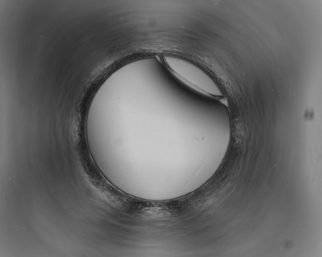 X0000093720544200711060940