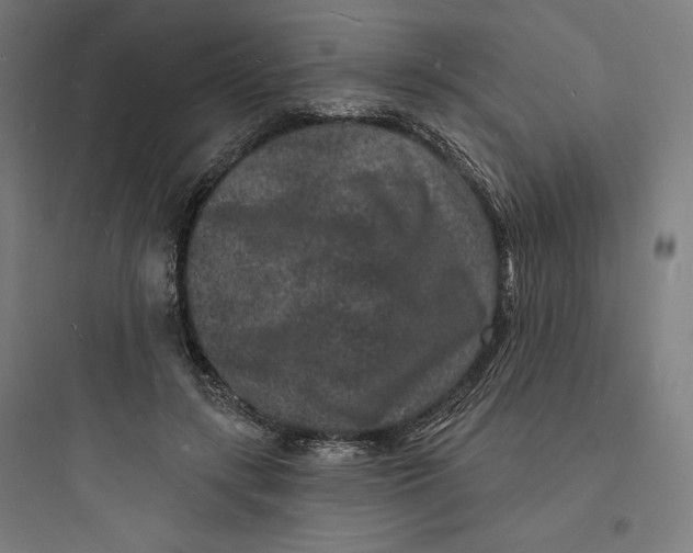 X0000093720547200711060940