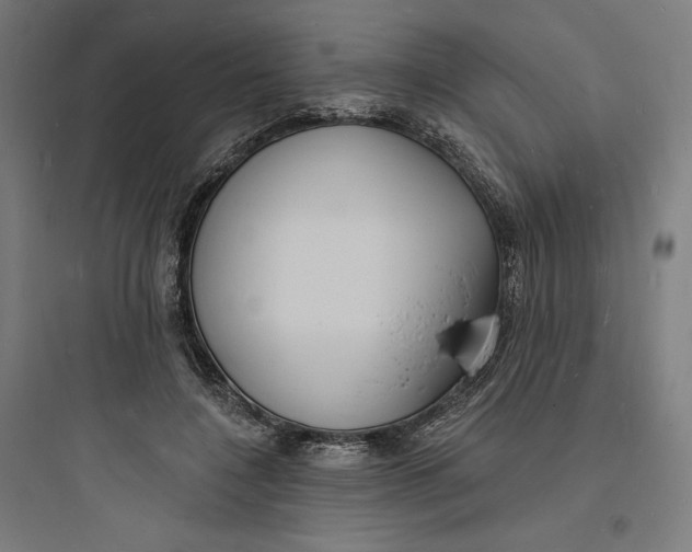 X0000093720548200711060940