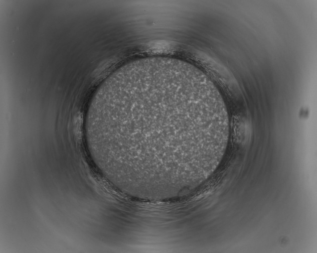 X0000093720550200711060940