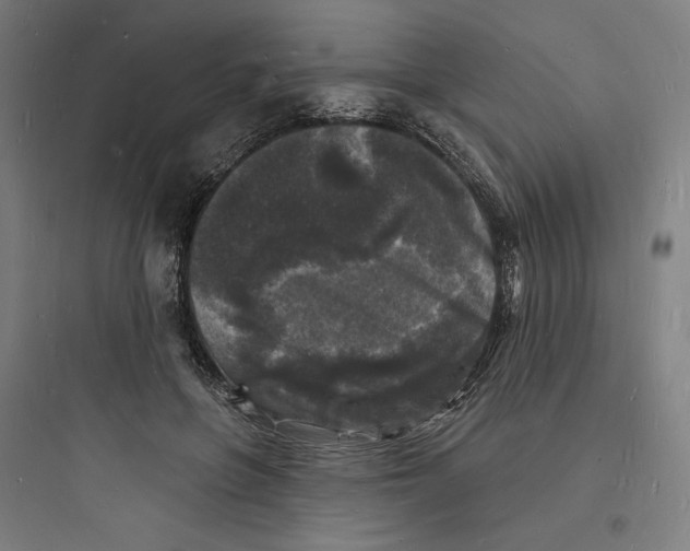 X0000093720551200711060940