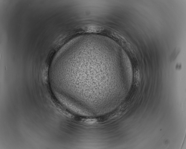 X0000093720554200711060940