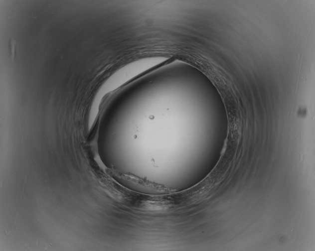 X0000093720556200711060940