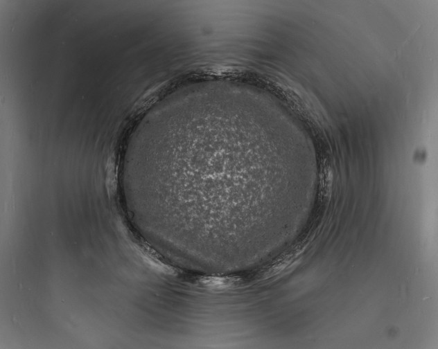 X0000093720558200711060940