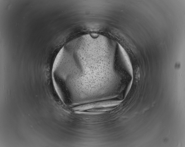 X0000093720559200711060940