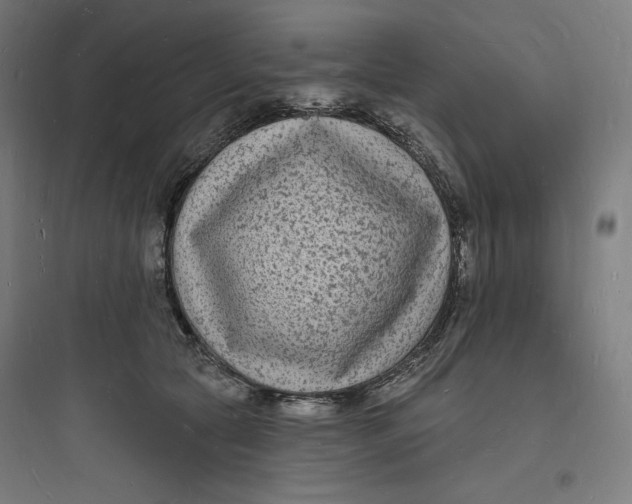 X0000093720561200711060940