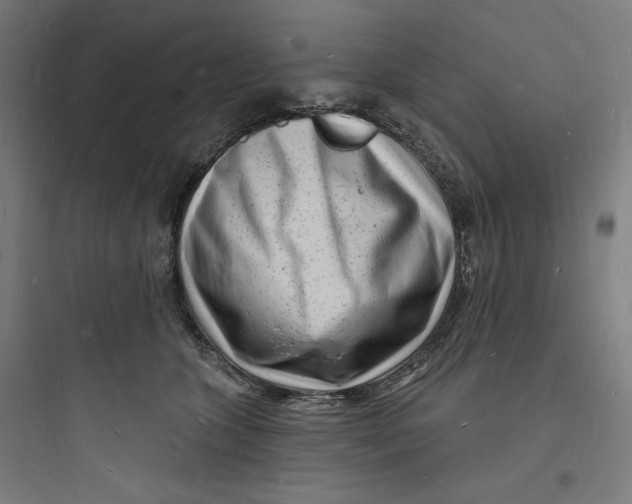 X0000093720563200711060940