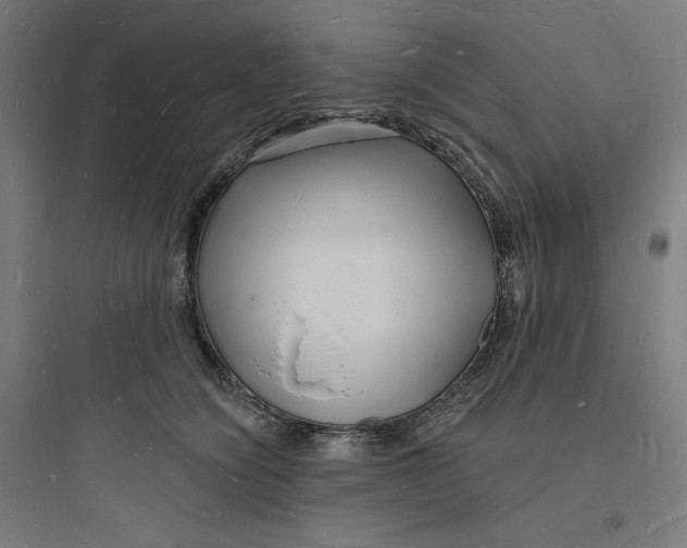 X0000093720564200711060940