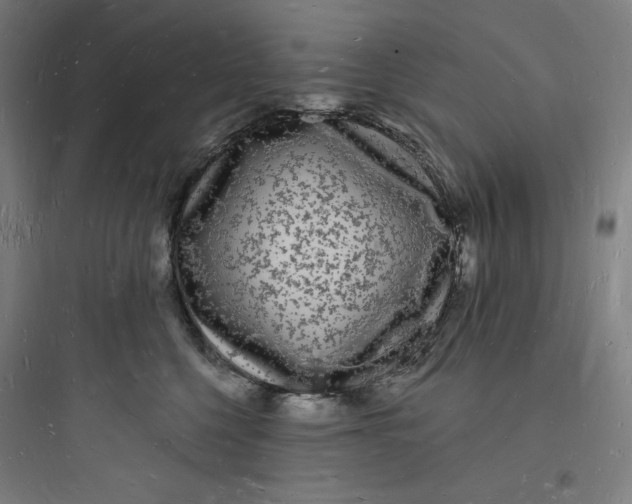 X0000093720568200711060940