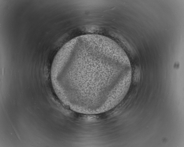 X0000093720569200711060940