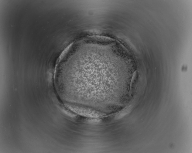 X0000093720576200711060940